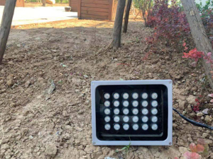 景區(qū)射樹燈