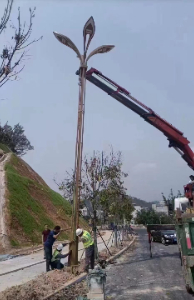 永壽玉蘭燈安裝